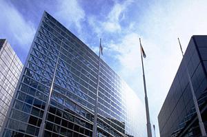 家族や友人と楽しむ！アドベンチャーパークでの冒険体験と安全対策ガイド